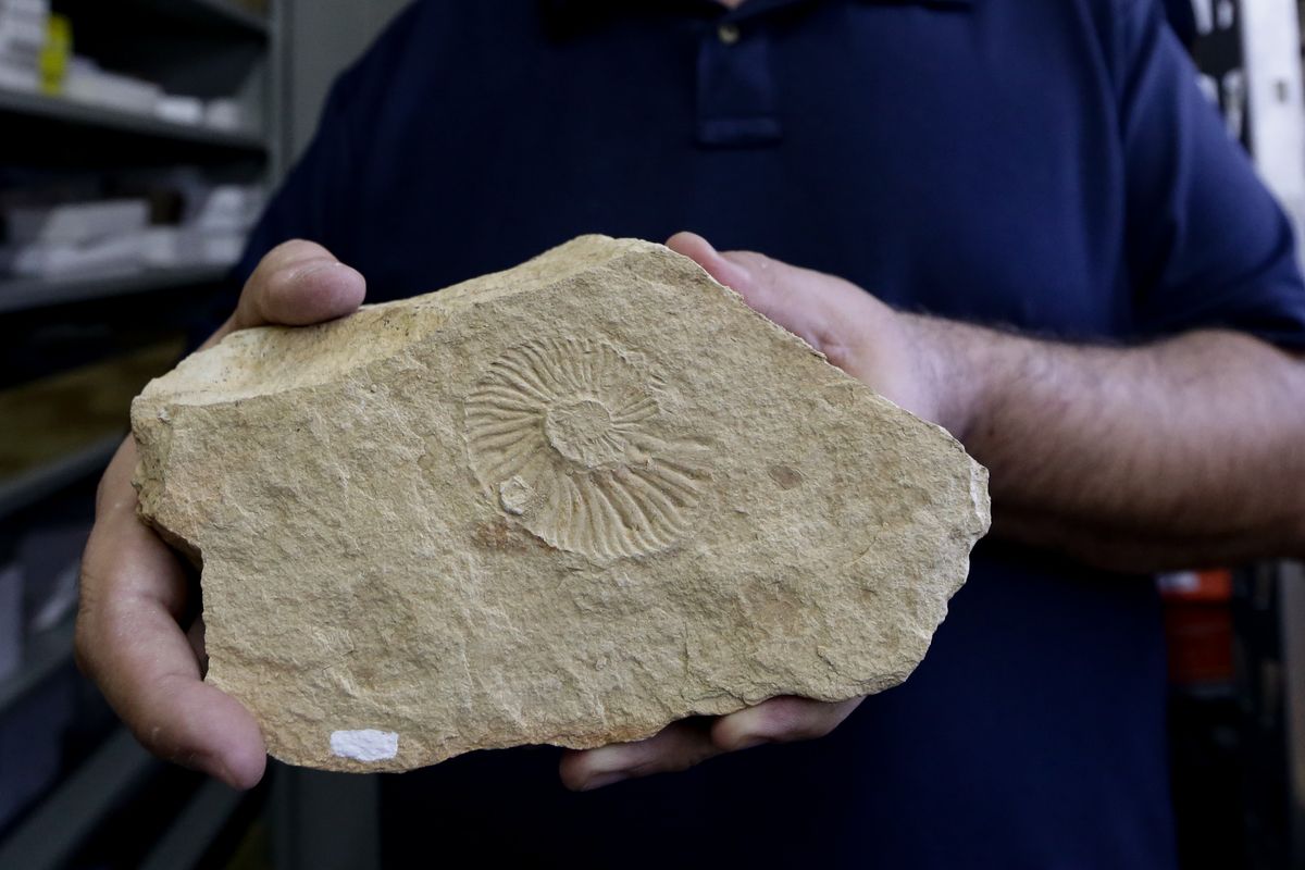 Este descubrimiento es único en México. Este descubrimiento es único en México.