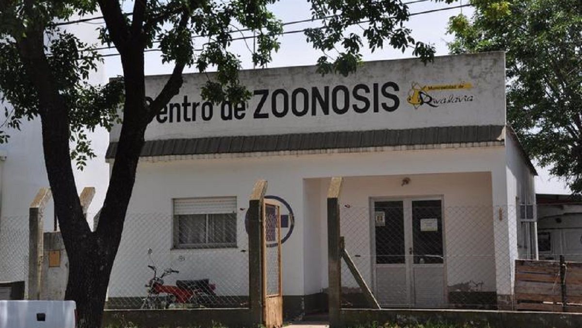 Seis de los diez perros de Ricardo Ganum estuvieron en Zoonosis de Rivadavia hasta el jueves y ya están con él.