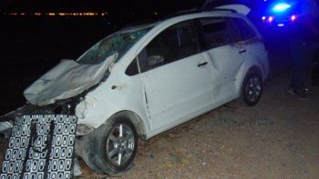 Dos autos chocaron contra vacas sueltas en Ruta 7, en Luján: no hubo heridos pero sí dos animales muertos 