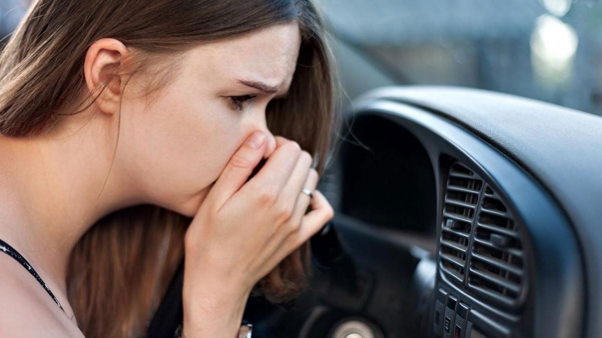 El olor a humedad dentro del auto se vuelve insoportable muchas veces. El olor a humedad dentro del auto se vuelve insoportable muchas veces.