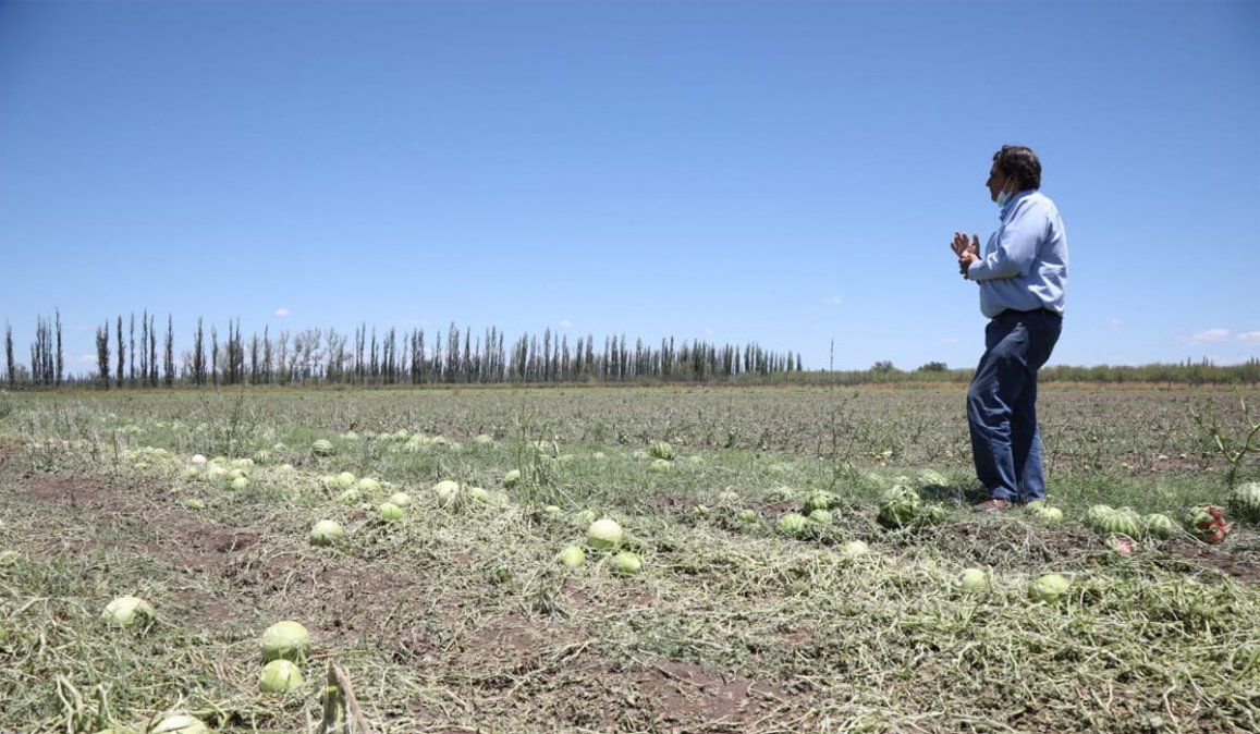 Qué dice el pronóstico del tiempo. El director de Contingencias Climáticas, Julio Eluani, recorrió los distritos de San Rafael afectados por la fuerte tormenta de granizo. Foto: Gobierno de Mendoza.
