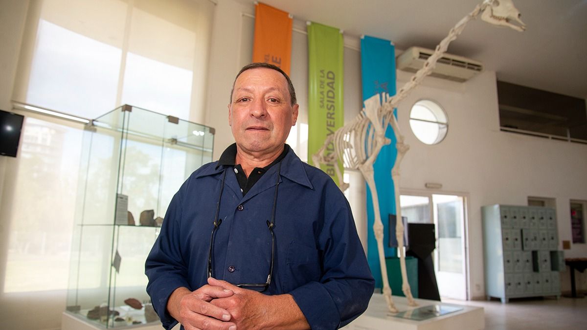 Edgardo Aranguez en la planta baja del Museo Cornelio Moyano. Detrás suyo, el esqueleto de Belén, la jirafa del Zoo que murió intoxicada en 2004.