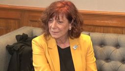 La mendocina Ercilia Nofal, en problemas judiciales por el caso Vicentín, fue directora del Banco Nación entre 2015 y 2019. La mendocina Ercilia Nofal, en problemas judiciales por el caso Vicentín, fue directora del Banco Nación entre 2015 y 2019.