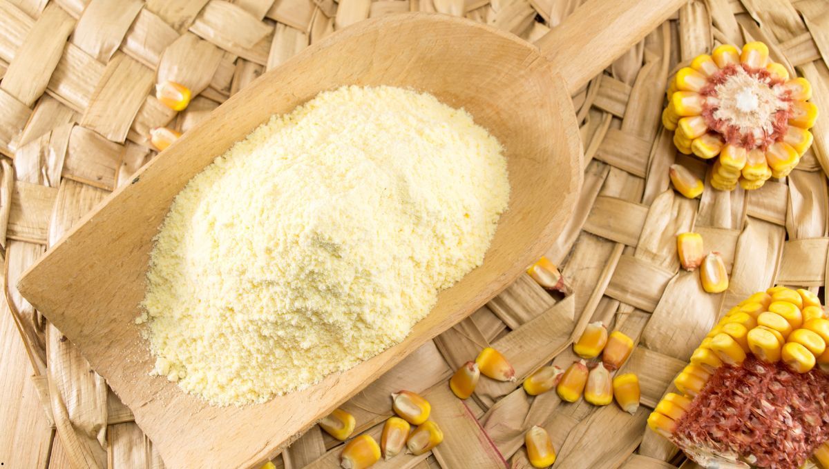 En qué se diferencian la maicena, polenta y harina de maíz. En qué se diferencian la maicena, polenta y harina de maíz.