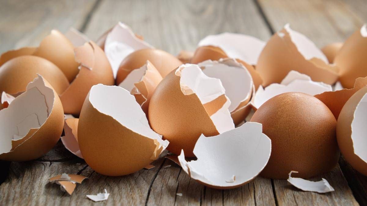 4 usos increíbles de las cáscaras de huevo