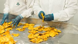 Inspección de alimentos en una planta industrial tras retiros por contaminación. Crédito: Freepik. Inspección de alimentos en una planta industrial tras retiros por contaminación. Crédito: Freepik.