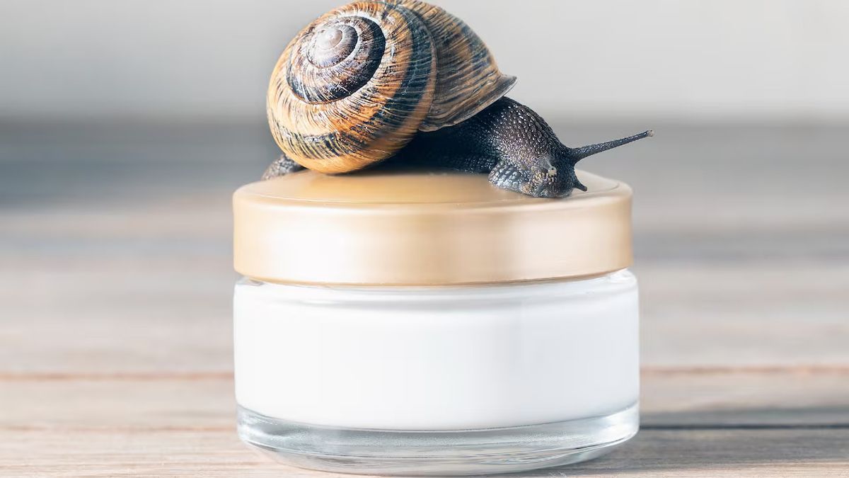 Conoce los beneficios que tiene la baba de caracol para la piel. Conoce los beneficios que tiene la baba de caracol para la piel.