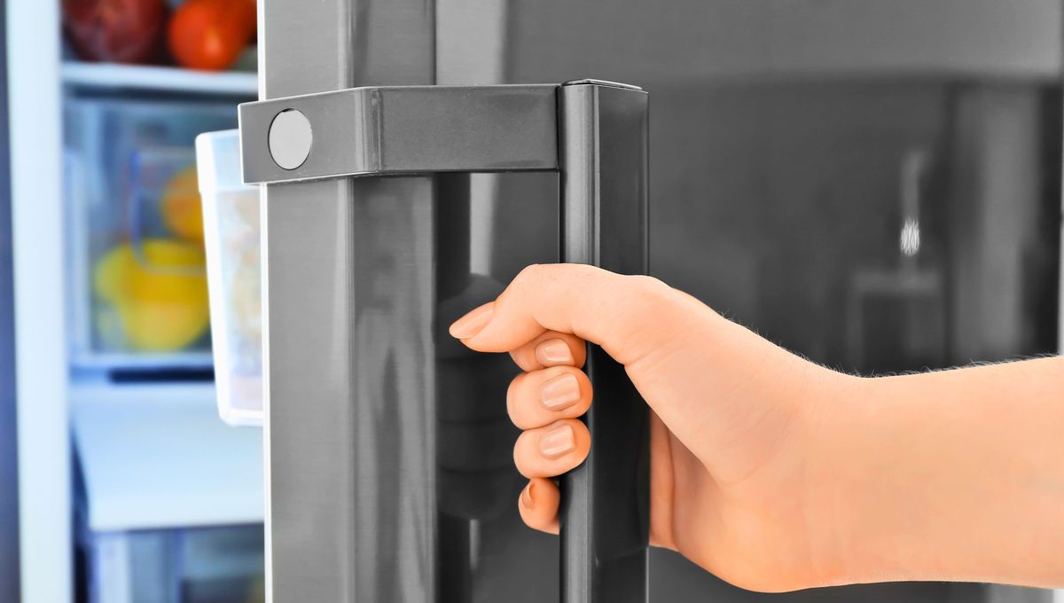 Lo mejor es realizar limpiezas y revisar el funcionamiento de la heladera con frecuencia. Lo mejor es realizar limpiezas y revisar el funcionamiento de la heladera con frecuencia.