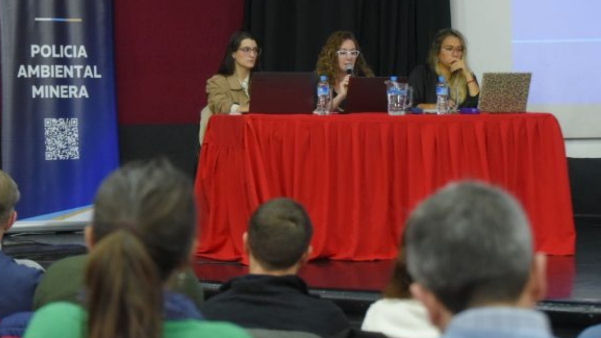 Más de 150 personas se expresaron a lo largo de dos jornadas de forma presencial y virtual en la audiencia del Malargüe Distrito Minero Occidental.