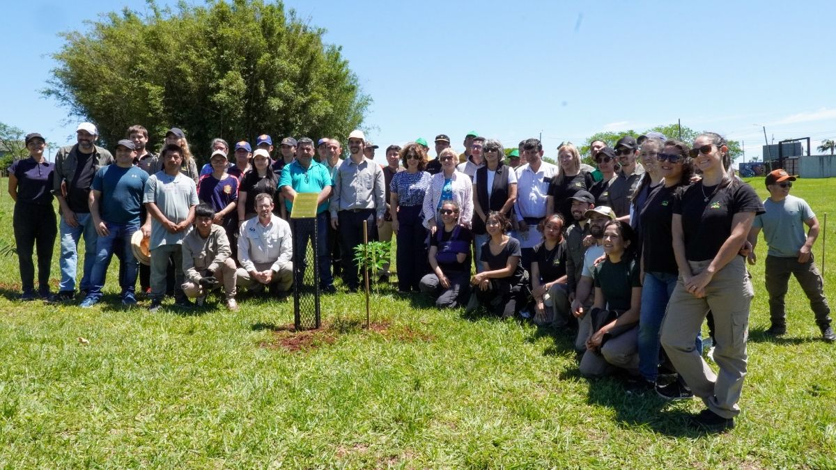 Misiones celebra la plantación de 100.000 árboles nativos