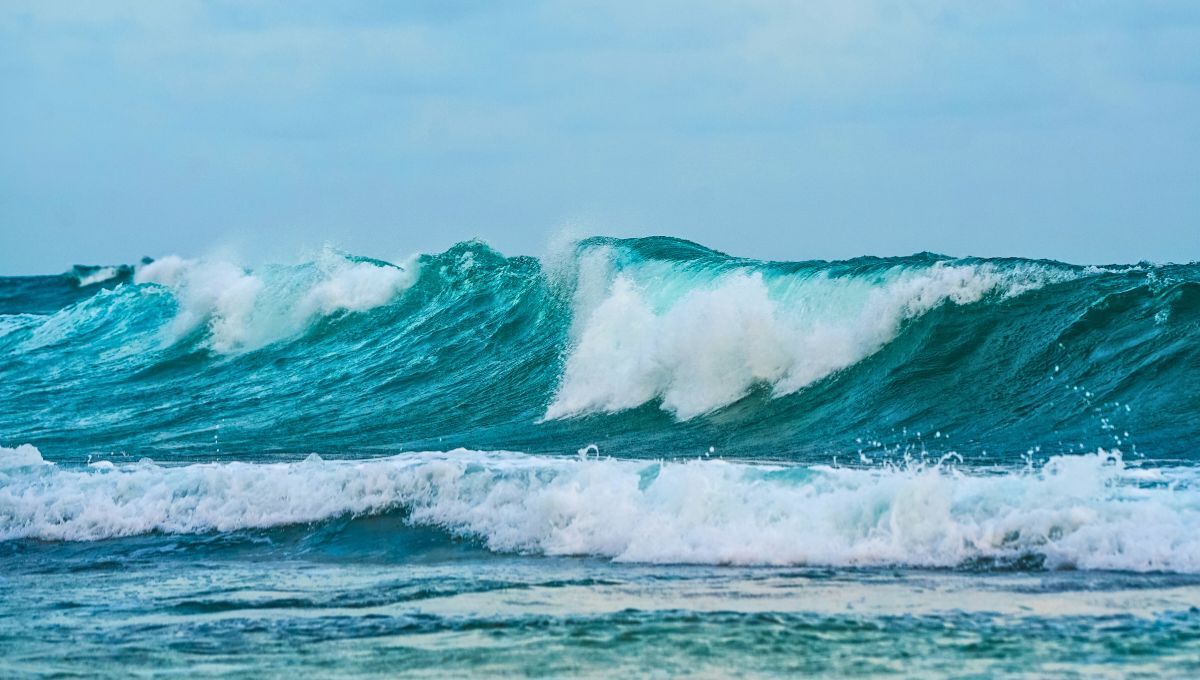 Este invento convierte el movimiento de las olas del mar en electricidad, y promete beneficiar a millones de personas. Este invento convierte el movimiento de las olas del mar en electricidad, y promete beneficiar a millones de personas.