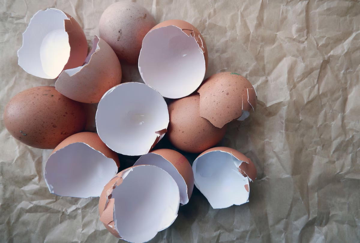 Cáscaras de huevo debajo de la cama: por qué hay que hacerlo y para que sirve Cáscaras de huevo debajo de la cama: por qué hay que hacerlo y para que sirve