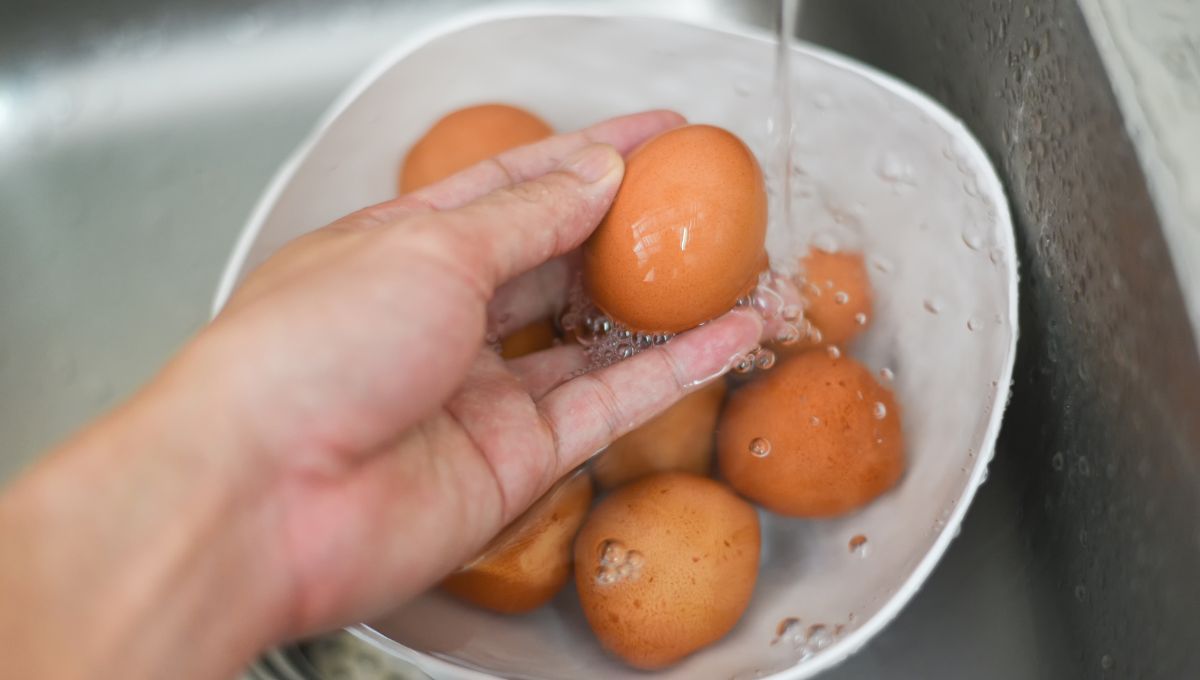 ¿Los huevos se lavan? ¿Los huevos se lavan?