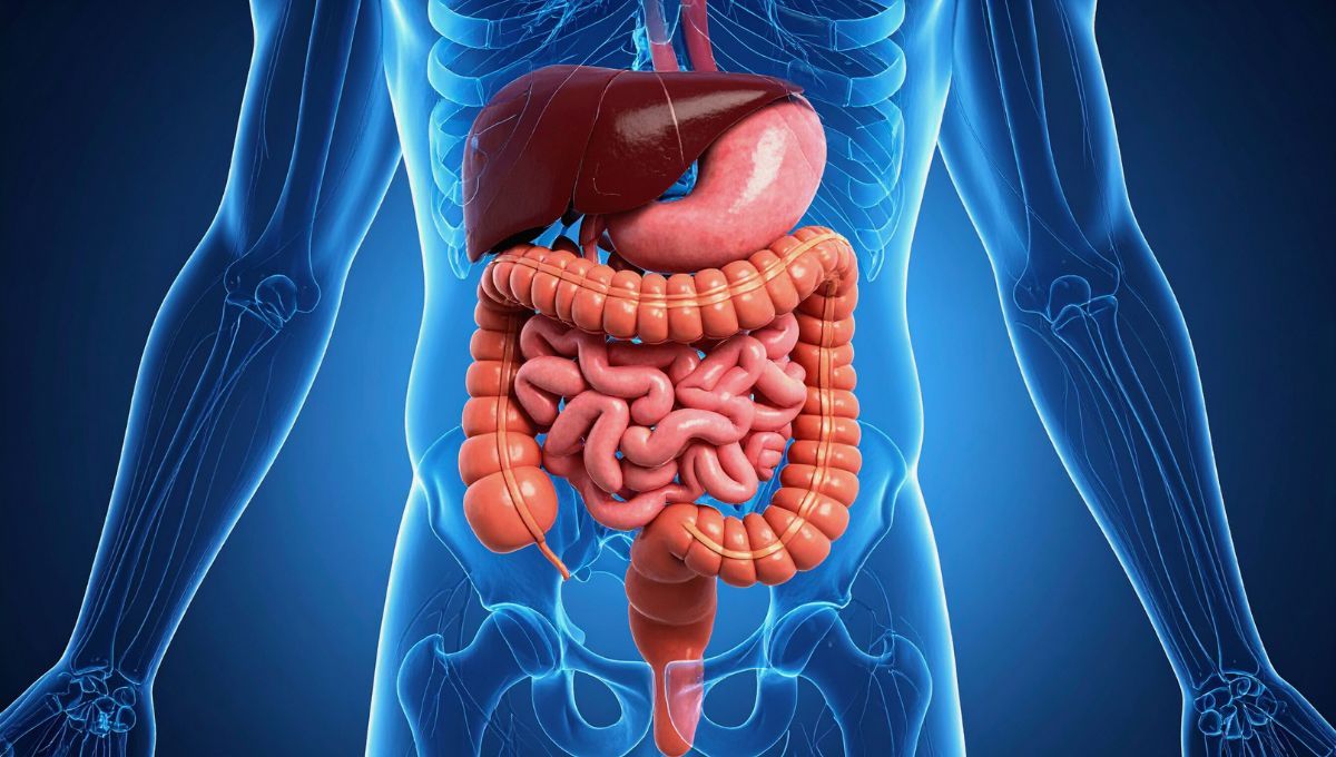 La bebida con 2 ingredientes ideal para limpiar el colon de forma natural La bebida con 2 ingredientes ideal para limpiar el colon de forma natural