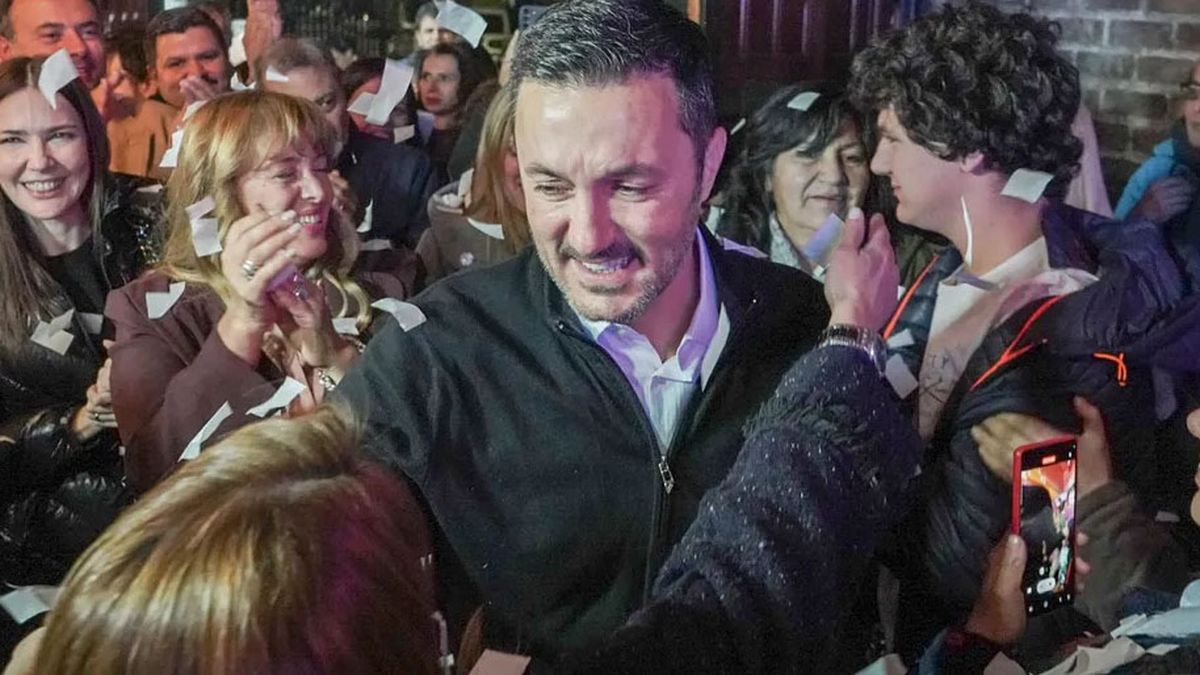 Joven y radical, Luis Petri complementa la fórmula de Patricia Bullrich.