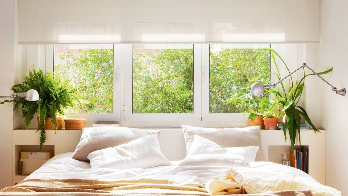 Las 7 plantas ideales para la mesa de luz y dormir bien