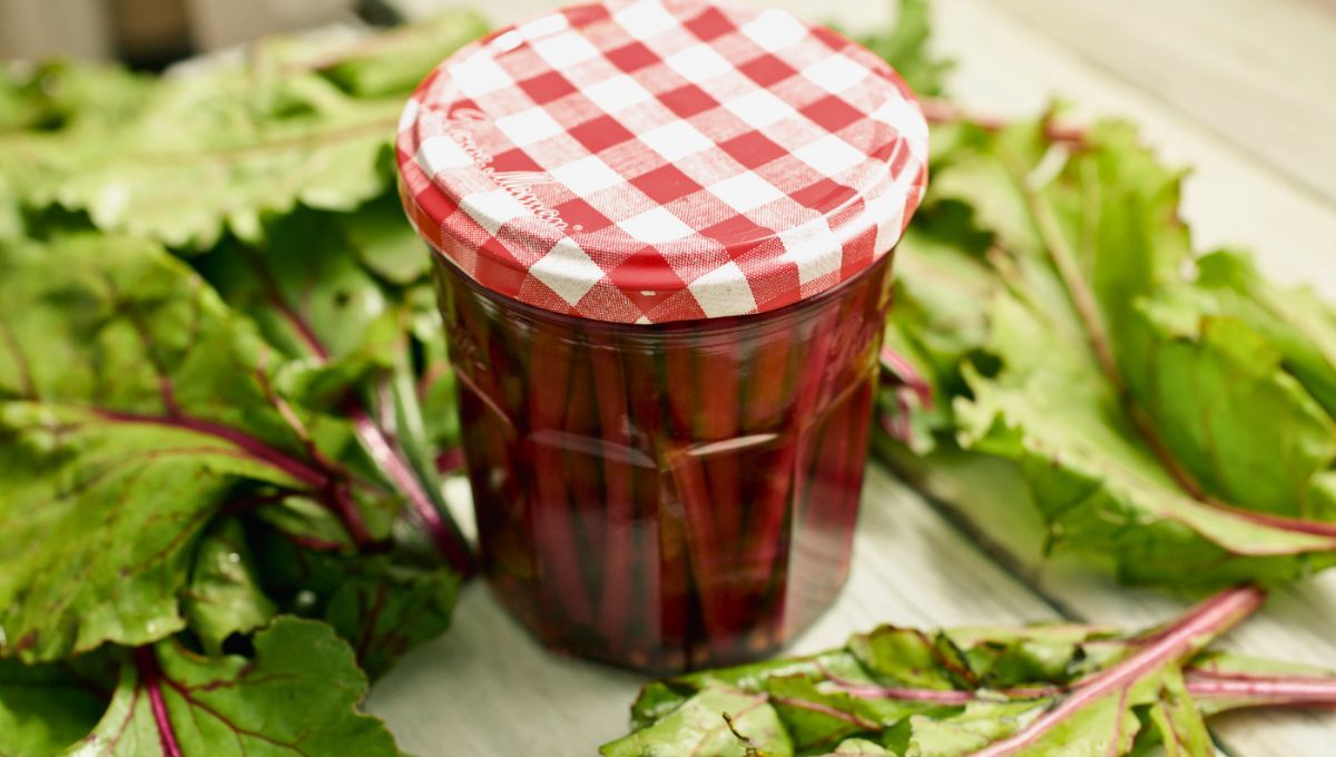 Pickles con tallo de remolacha. Pickles con tallo de remolacha.