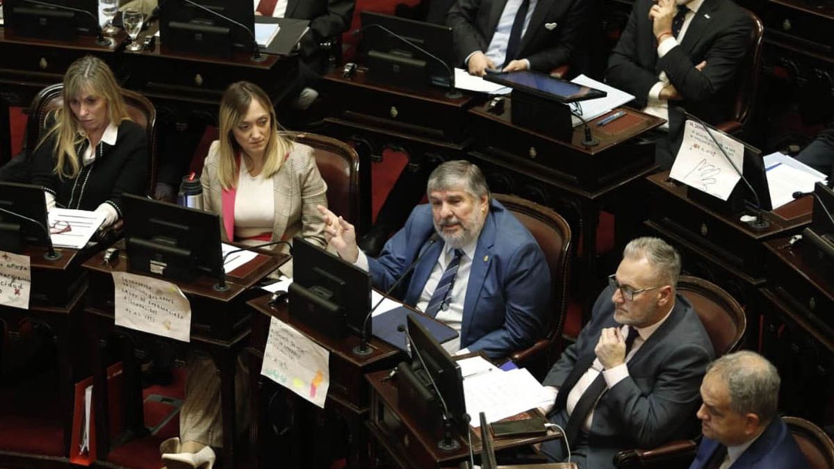 El senado ya trata la anulación del veto de Javier Milei a la Ley de Emergencia en Discapacidad. 