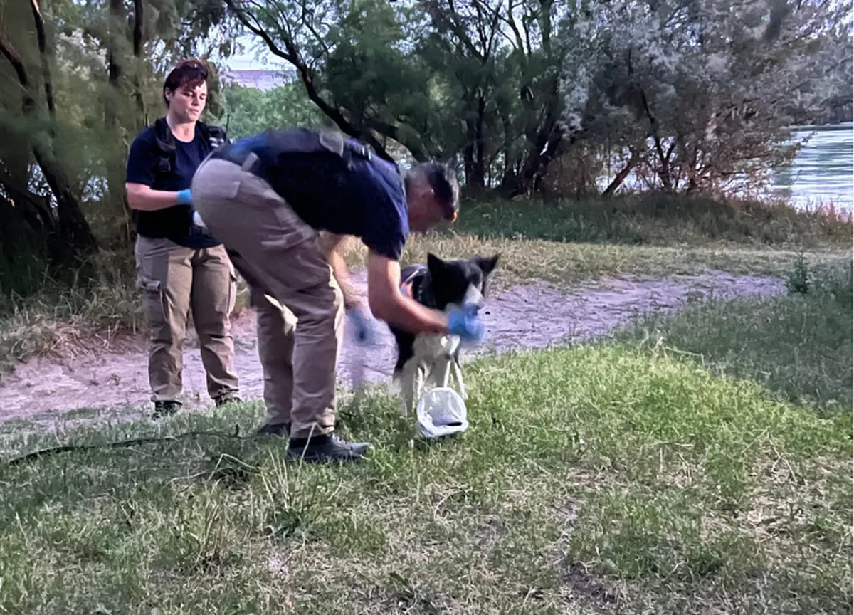 El mendocino es buscado por el lecho del río. El mendocino es buscado por el lecho del río.