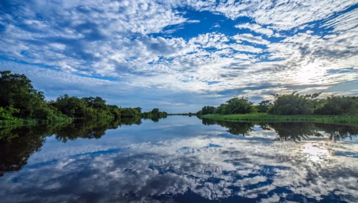 El turismo del futuro: regenerando destinos y sosteniendo el planeta. (Foto: Facebook. Sitio Ramsar Jaaukanigas)