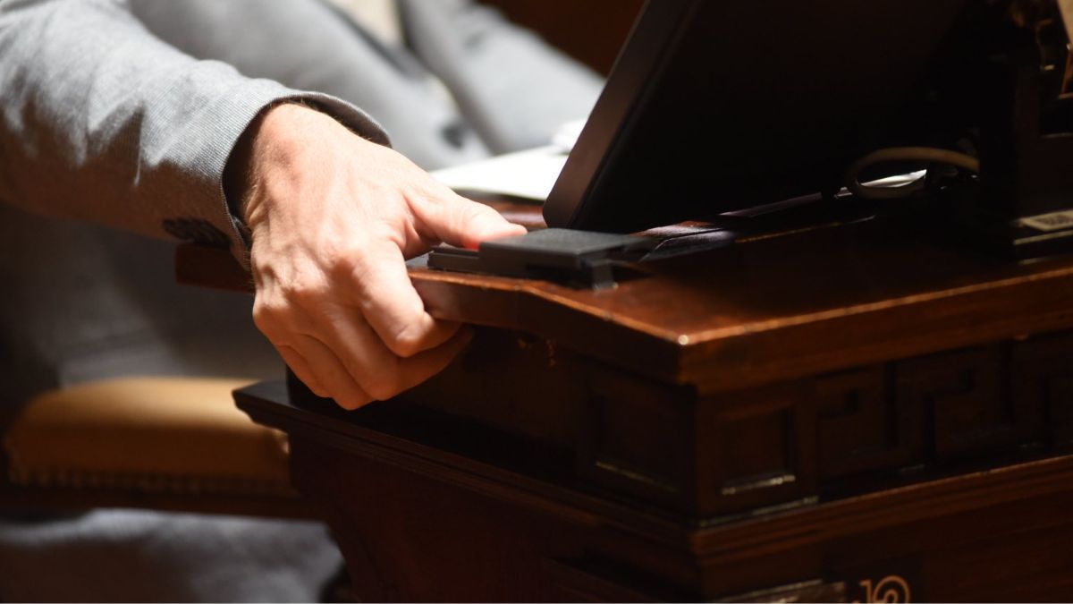 Solo tres senadores se opusieron al Presupuesto 2026. Solo tres senadores se opusieron al Presupuesto 2026.