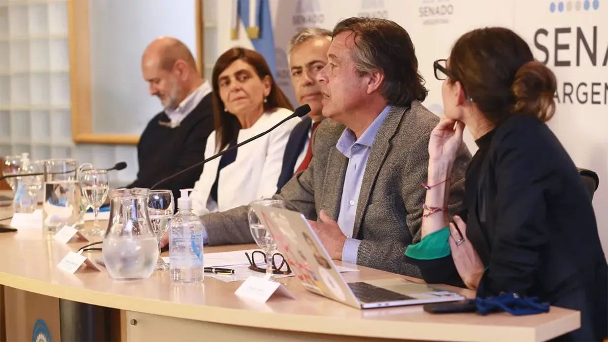 El ex ministro Víctor Ibañez cambió el Senado por un cargo en la Corte Suprema de la Nación