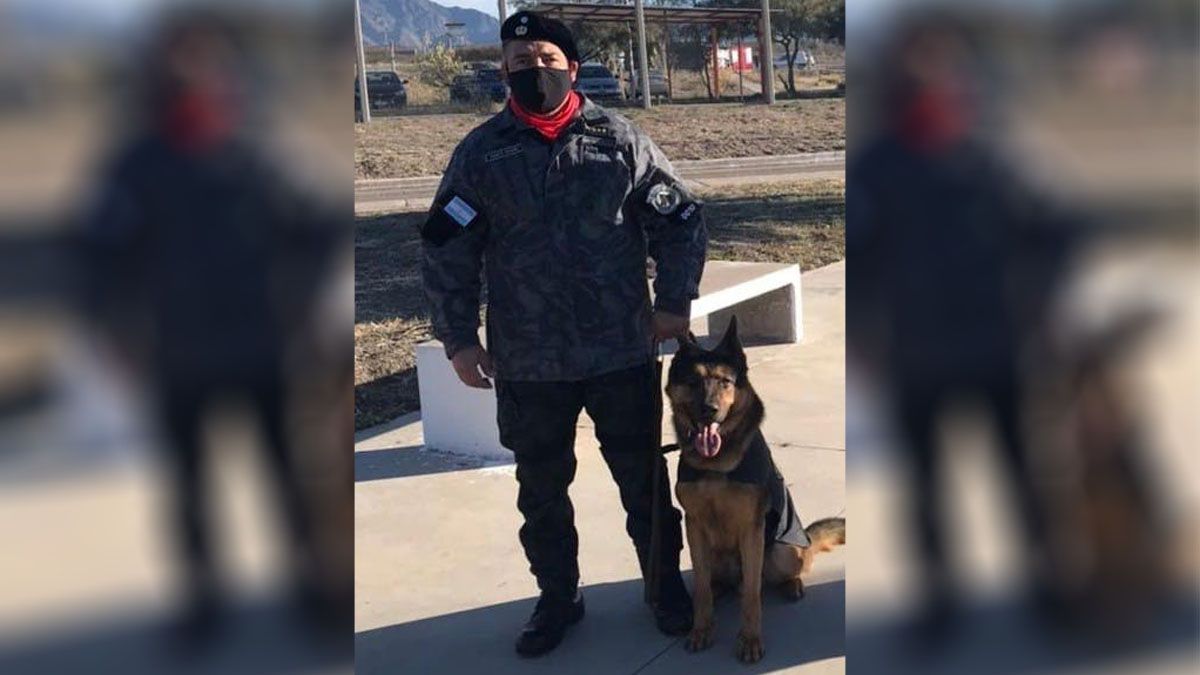 Aseguraron que Fanto era el más obediente de todos los perros de la División Canes y cumplió tareas muy importantes dentro de la fuerza.