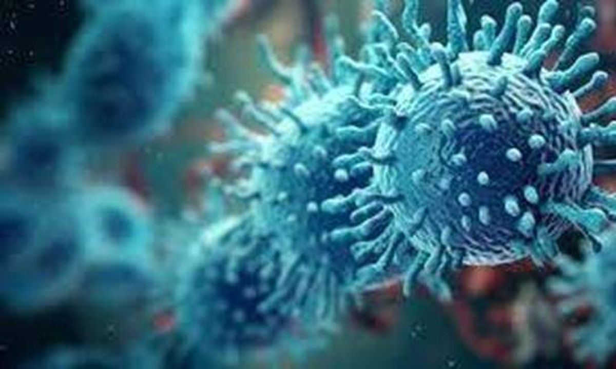 Imágenes que han circulado sobre todo por redes sociales, de la variante Frankenstein de Covid. Imágenes que han circulado sobre todo por redes sociales, de la variante Frankenstein de Covid.