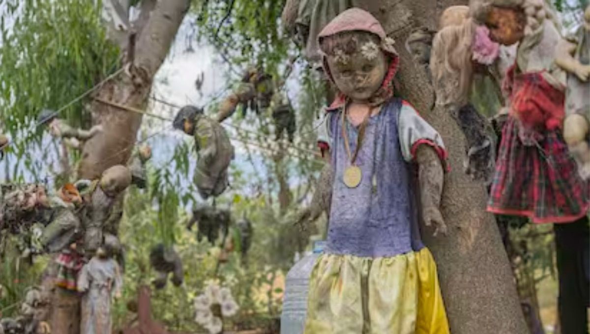 Santana era visto en la ciudad recolectando las mu&ntilde;ecas que las familias desechaban de sus casas.