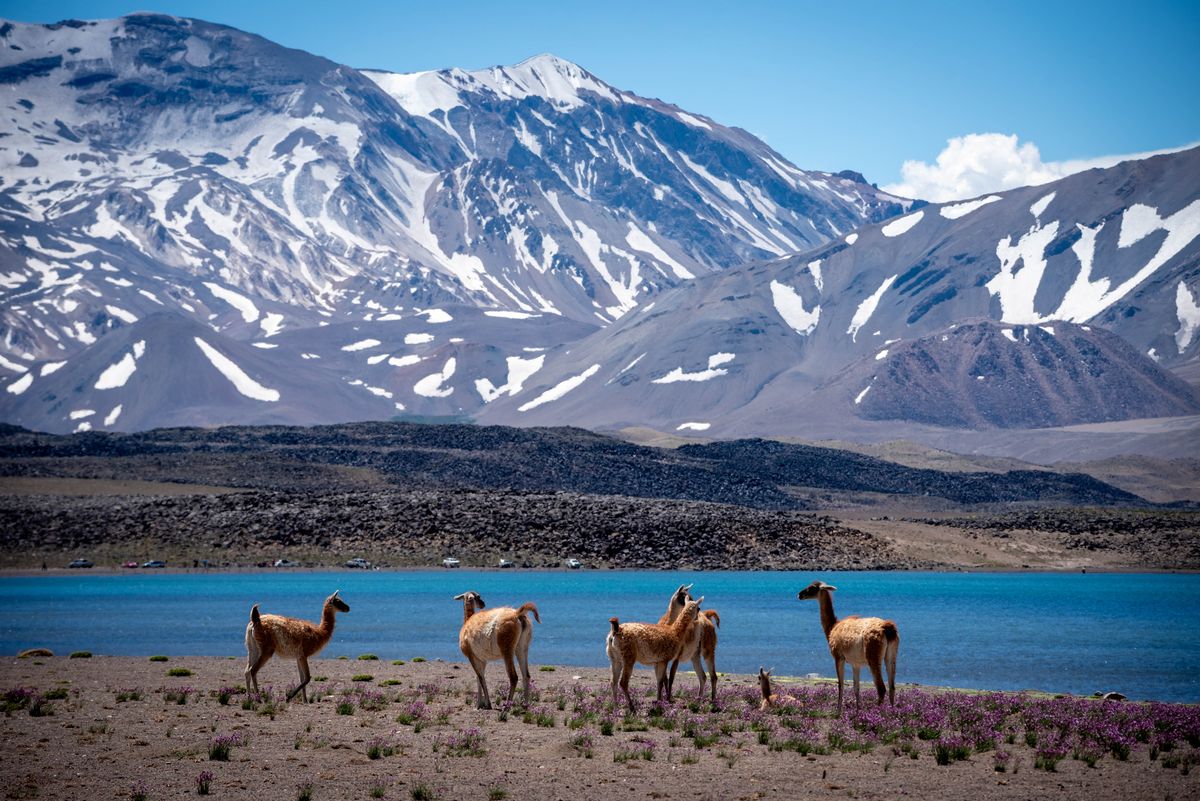 La Laguna del Diamante, uno de los hitos del Sendero de los Confines. La Laguna del Diamante, uno de los hitos del Sendero de los Confines.
