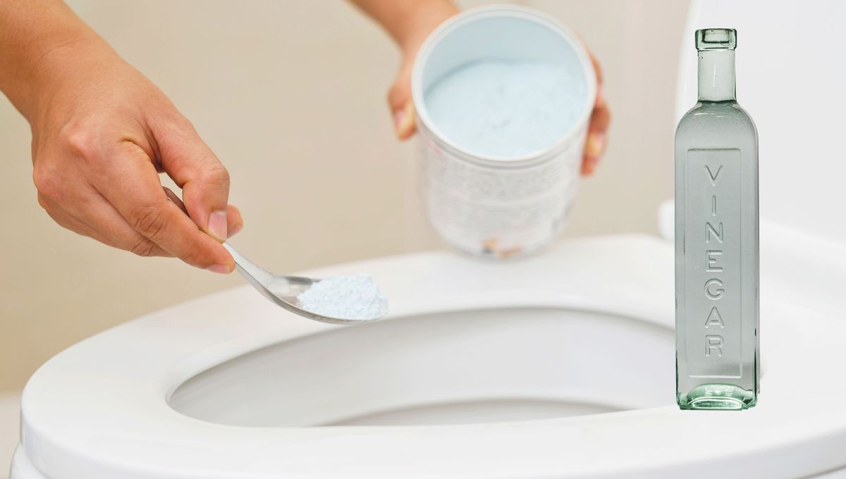 Ambos ingredientes juntos ablandan y remueven la suciedad que obstruye el inodoro. Ambos ingredientes juntos ablandan y remueven la suciedad que obstruye el inodoro. 