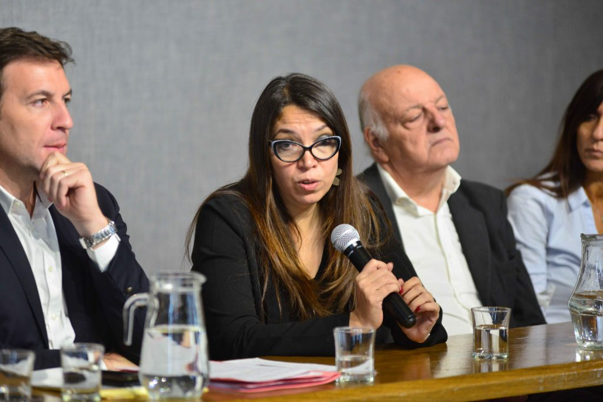 Andrea Salinas, presidenta del EPRE, dió precisiones sobre el nuevo esquema de subsidios y cómo impactará en los usuarios mendocinos