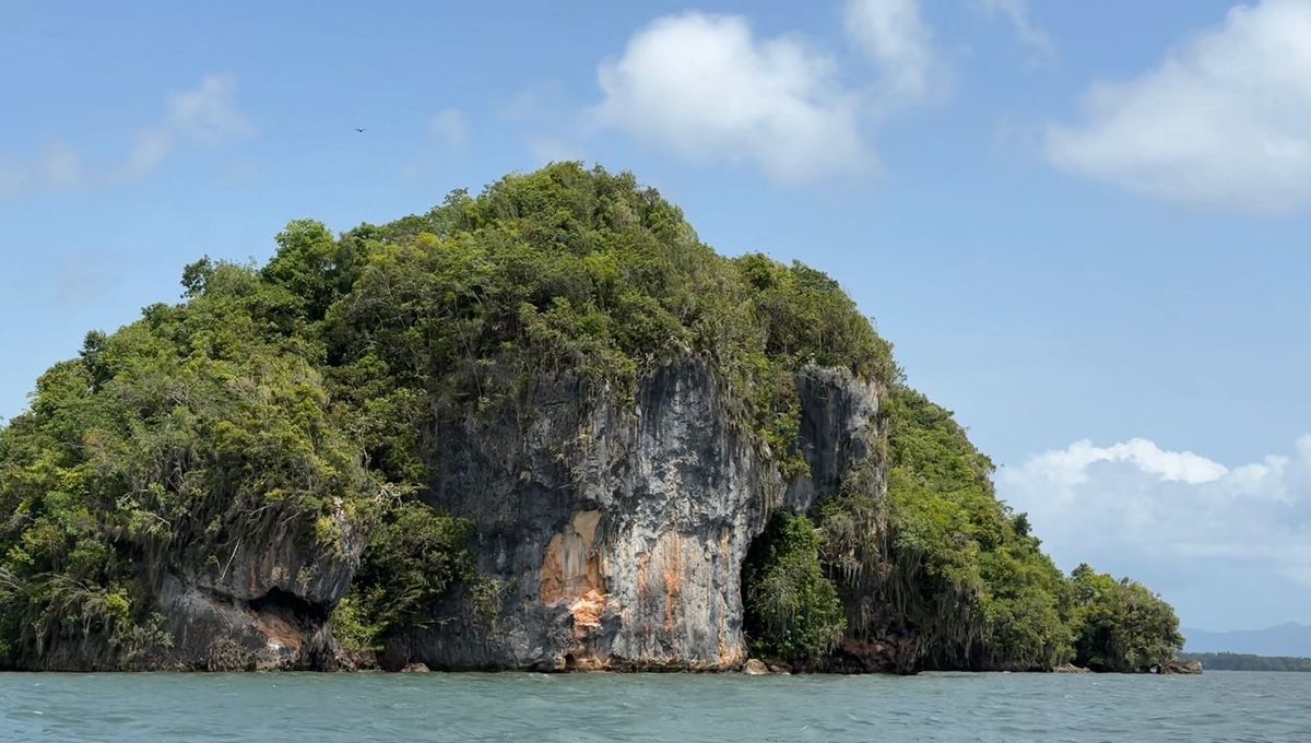 Parque Nacional Los Haitises, una joya natural imperdible en República Dominicana. Foto: Atilio Spinello (H) Parque Nacional Los Haitises, una joya natural imperdible en República Dominicana. Foto: Atilio Spinello (H)