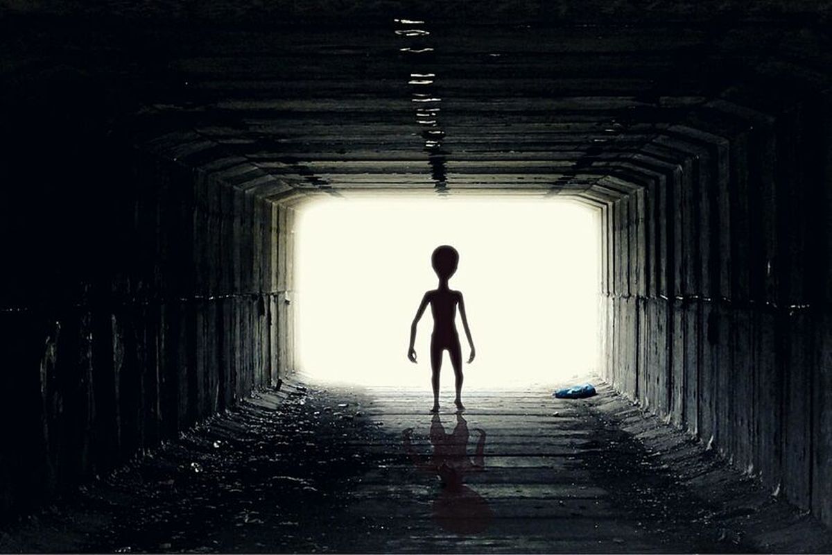 Estudio científico de Harvard sugiere que los extraterrestres están entre nosotros Estudio científico de Harvard sugiere que los extraterrestres están entre nosotros
