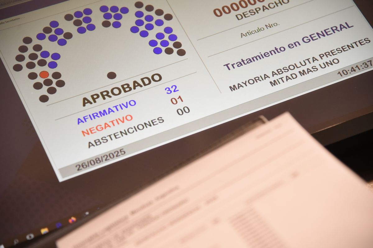 Un solo voto negativo contra la ley hojarasca: el de Dugar Chappel, del Partido Verde. Un solo voto negativo contra la ley hojarasca: el de Dugar Chappel, del Partido Verde.