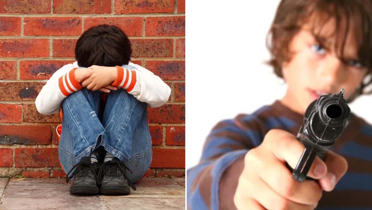 Generalmente, el bullying, el acoso escolar y el fácil acceso a las armas hacen que el adolescente Generalmente, el bullying, el acoso escolar y el fácil acceso a las armas hacen que el adolescente