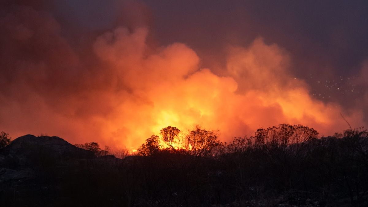 Día Mundial del Ambiente: crisis climática y retrocesos en políticas ambientales. (Foto: FARN)
