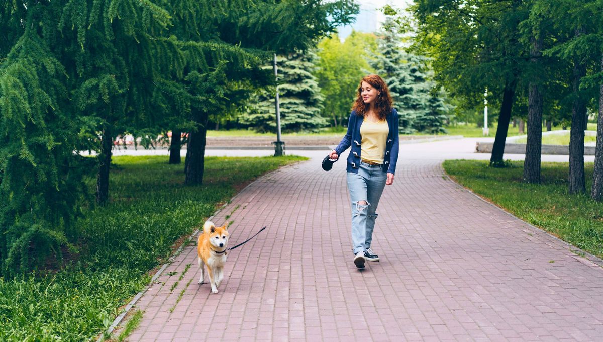 Esta palabra describe el acto de caminar por placer, sin rumbo y en busca de nuevos lugares. Esta palabra describe el acto de caminar por placer, sin rumbo y en busca de nuevos lugares. 