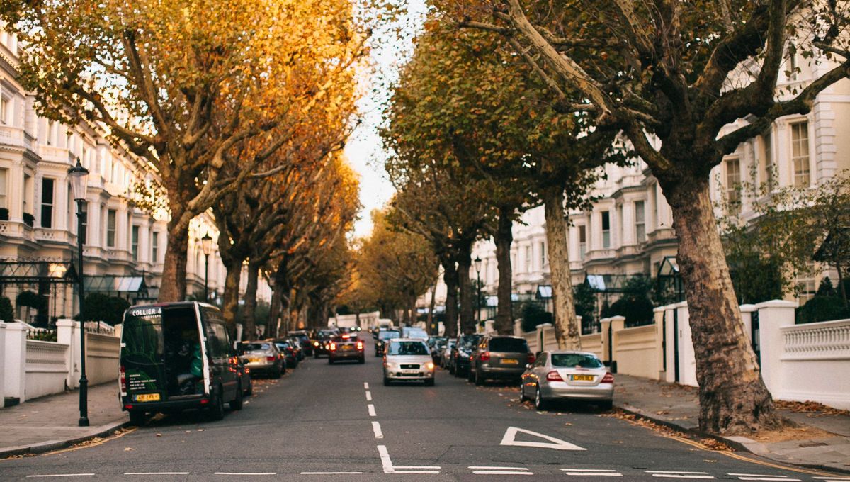 En las calles y rutas de Argentina, las señales de tránsito cumplen un rol fundamental para garantizar la seguridad vial y el orden en la circulación. En las calles y rutas de Argentina, las señales de tránsito cumplen un rol fundamental para garantizar la seguridad vial y el orden en la circulación.