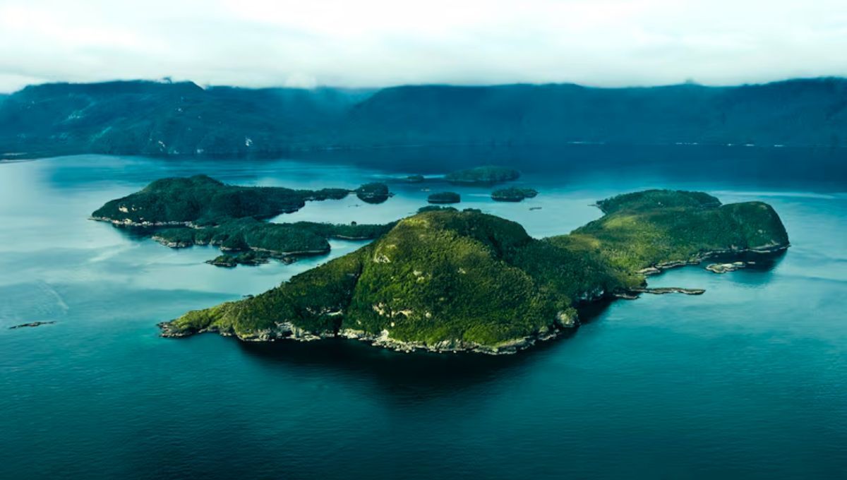La Patagonia de Chile se ve amenazada por la presencia de una extraña especie