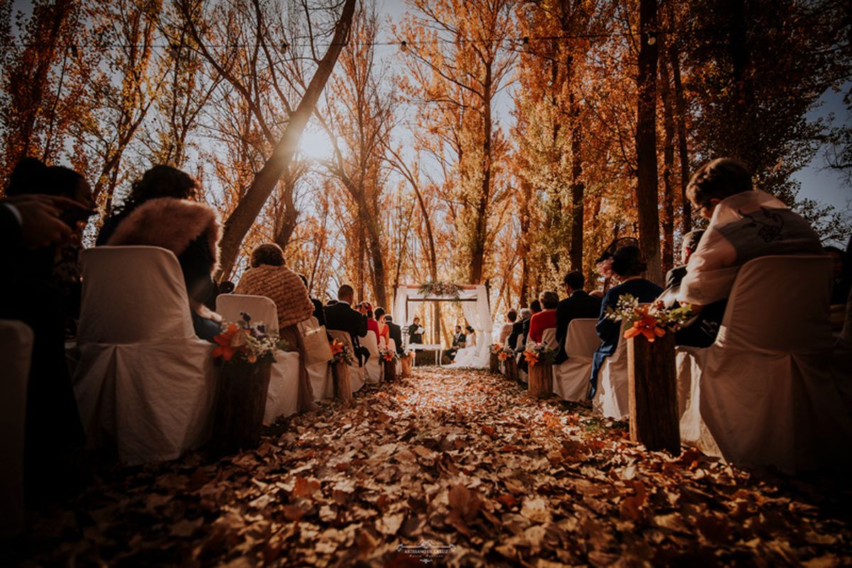 Crea la boda de tus sueños y decora con hojas otoñales. Crea la boda de tus sueños y decora con hojas otoñales.