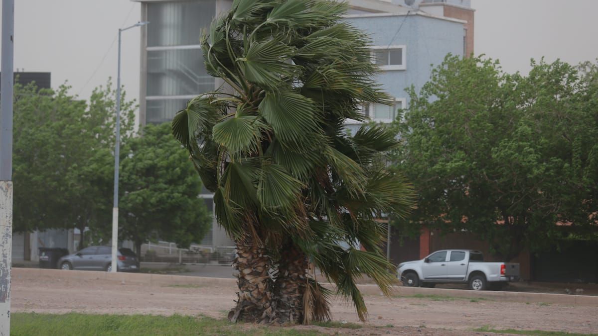 Las fuertes ráfagas de viento sorprendieron y afectaron a toda Mendoza durante este viernes. Las fuertes ráfagas de viento sorprendieron y afectaron a toda Mendoza durante este viernes.