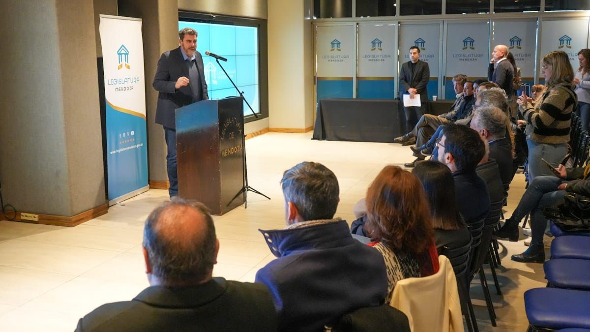 Martín Kerchner, presidente provisional del Senado. Martín Kerchner, presidente provisional del Senado.