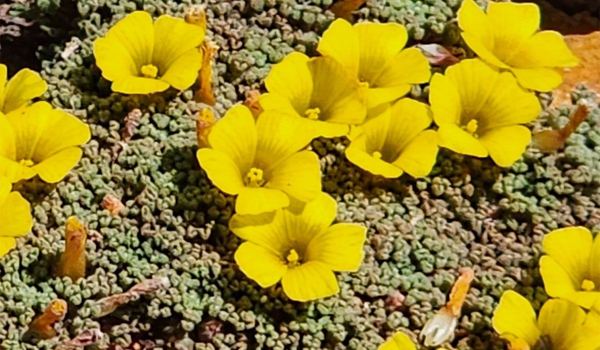 Laguna del Diamante: precios, fotos y videos impactantes de un lugar soñado en Mendoza Laguna del Diamante: precios, fotos y videos impactantes de un lugar soñado en Mendoza