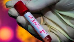 Confirmaron 21 casos de la súper gripe europea en Mendoza. Confirmaron 21 casos de la súper gripe europea en Mendoza.