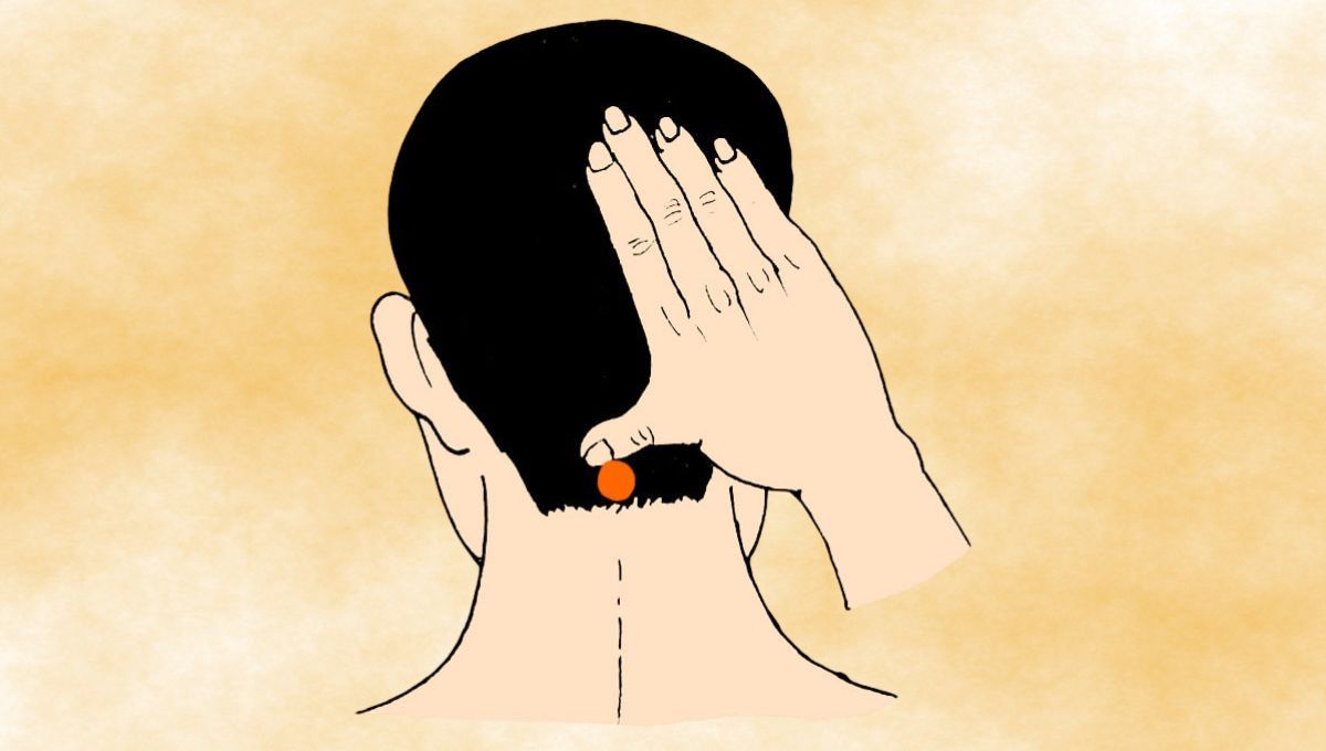 Punto Feng Fu, usado en la medicina china tradicional. Punto Feng Fu, usado en la medicina china tradicional.