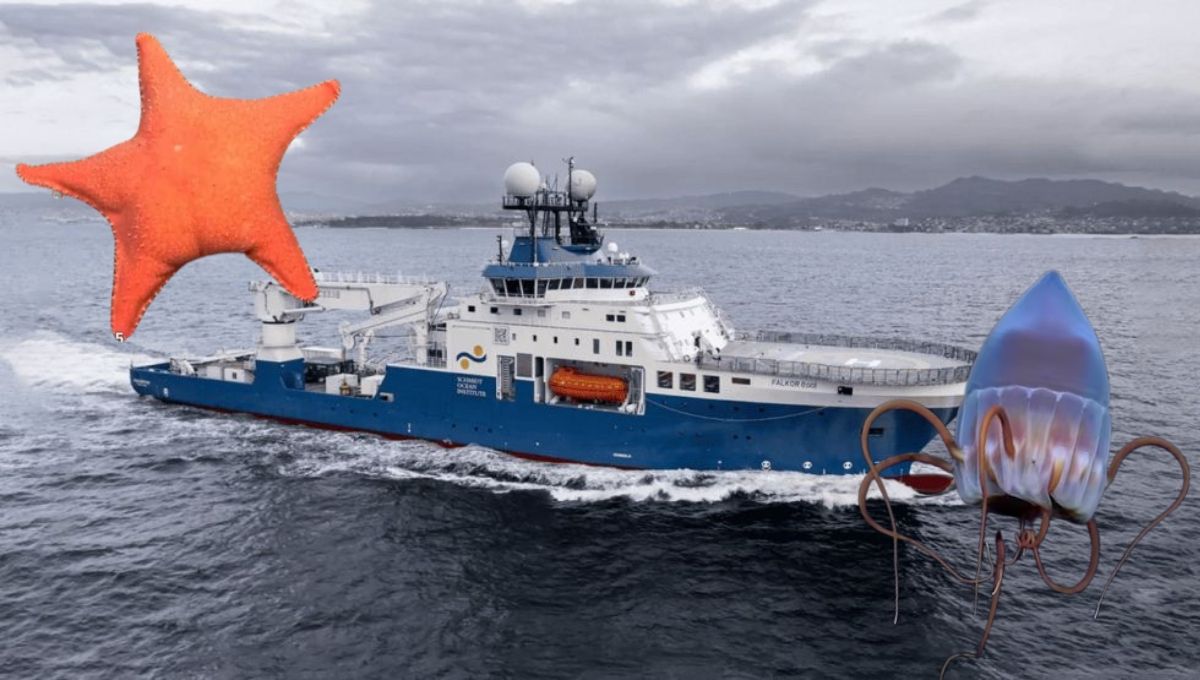 El Consejo Nacional de Investigaciones Científicas y Técnicas (CONICET)&nbsp;es el principal organismo que&nbsp;promueve la Ciencia y la Tecnología en Argentina.