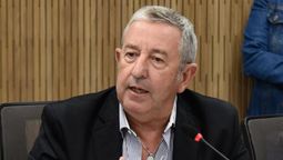 Julio Cobos, diputado nacional por Mendoza.