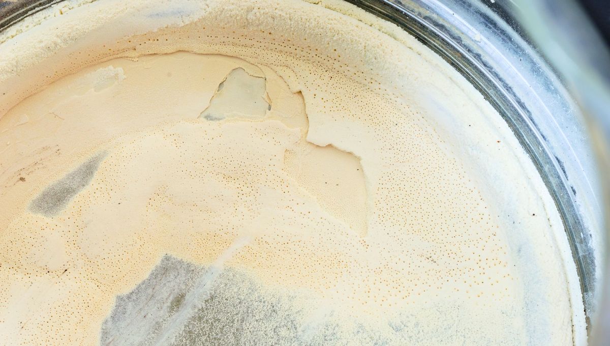 El sarro en los electrodomésticos de metal aparece por concentración de los minerales que naturalmente contiene el agua. El sarro en los electrodomésticos de metal aparece por concentración de los minerales que naturalmente contiene el agua. 