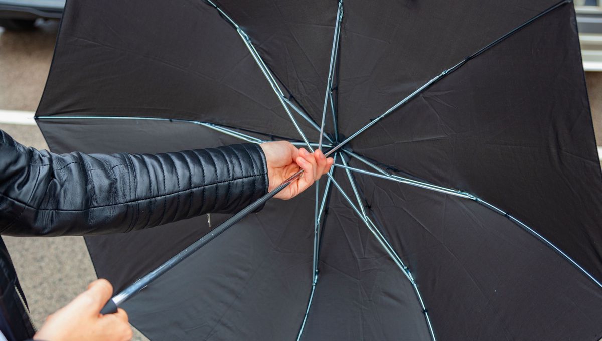 Abrir un paraguas puede atraer mala suerte a la casa o los espacios cerrados, según las historias. Abrir un paraguas puede atraer mala suerte a la casa o los espacios cerrados, según las historias. 